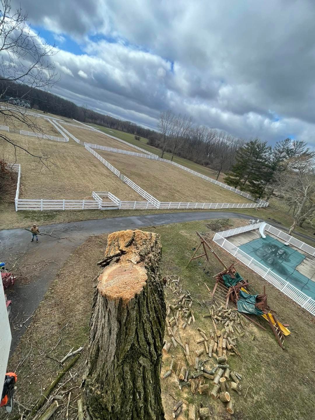 Aerial view of a large stump and neatly stacked cut logs after a tree removal