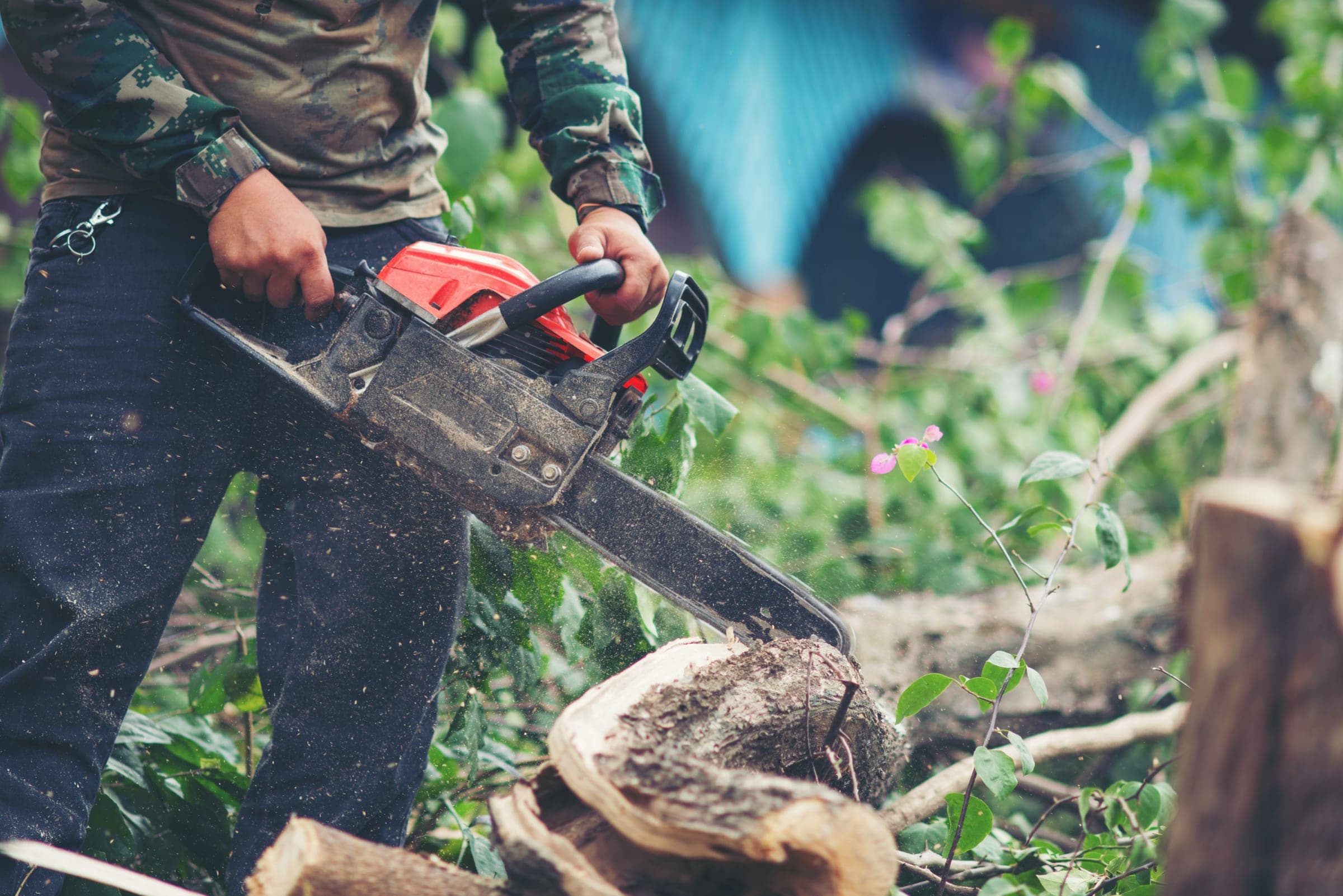 Tree removal in Ann Arbor, Michigan — Express Tree Removal cutting a felled tree with a chainsaw